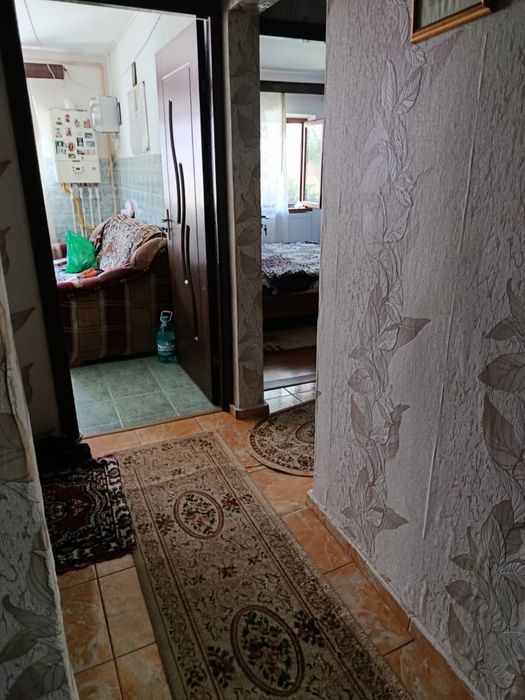 Apartament 2 camere parter  Broșteni Brosteni