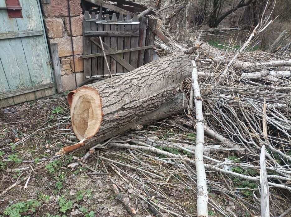 Дърва за огрев Топола,