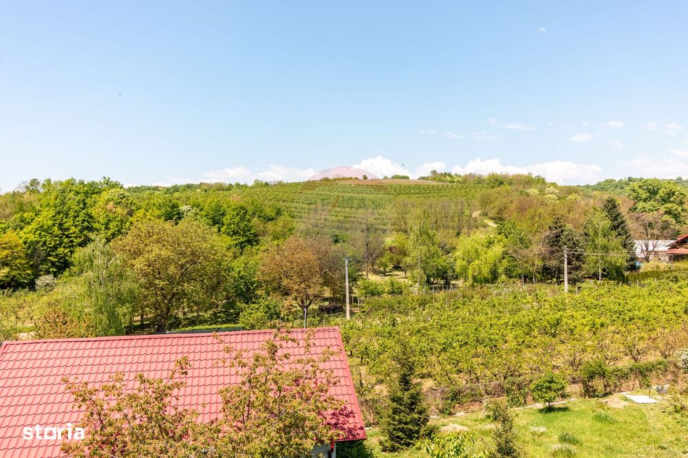 Teren 1.018 la 15 min de Ploiești | premium | zona dealuri
