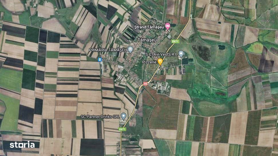 Gaminvest Teren intravilan de vanzare Tamaseu, V3217