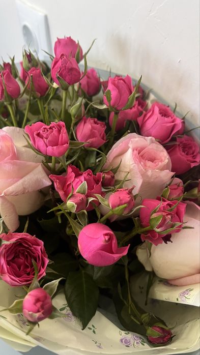 Продам цветы свежие