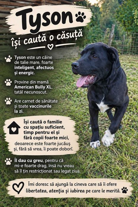 Caine de vanzare
