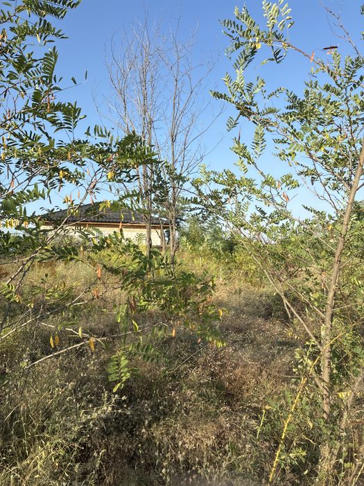 Vand teren intravilan 350 mp Preajba veche zona Semntest