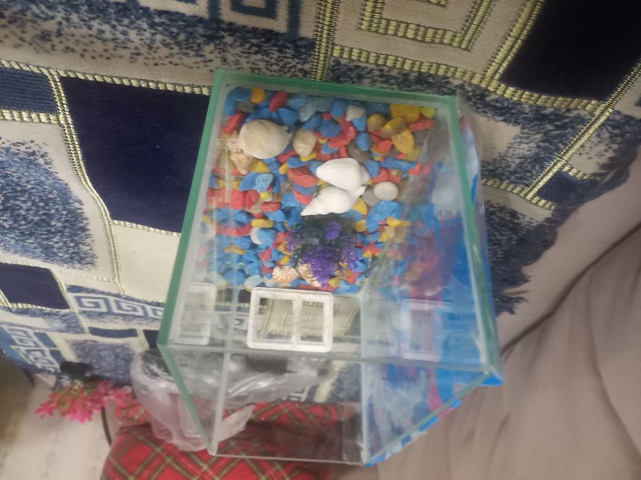 Продам 4л аквариум