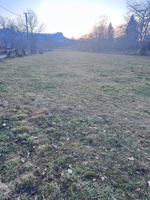 Vând Teren Maramureș/ Breb!