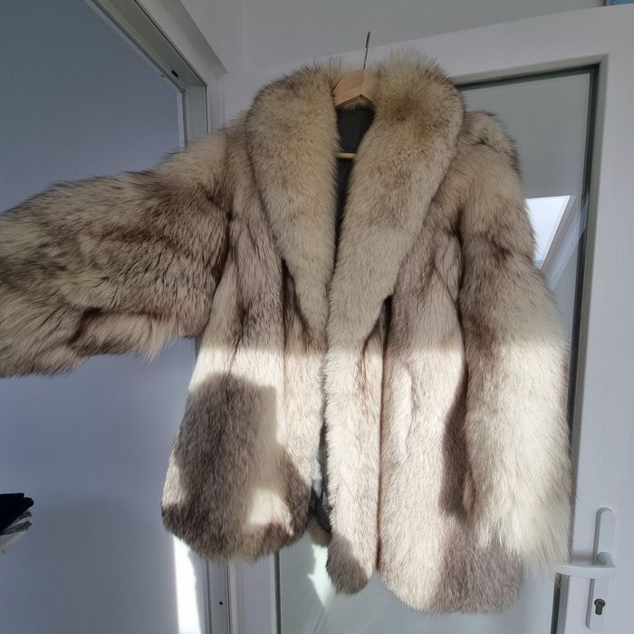 Vând blana vulpe argintie, stare foarte buna