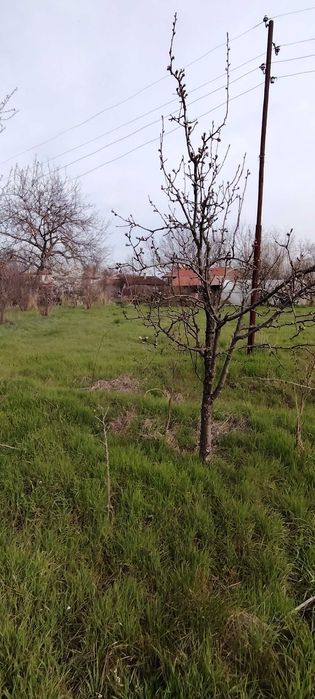 Парцел в с. Знаменосец. Област Стара Загора