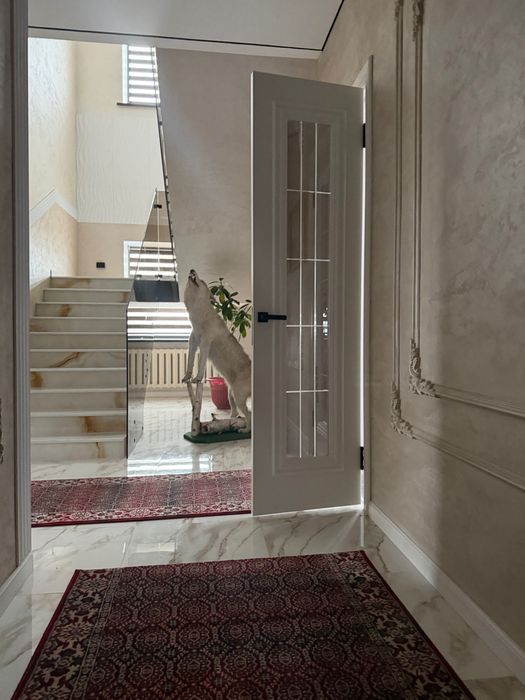 Сдам в аренду коттедж посуточно