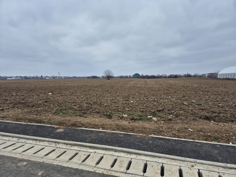 Teren Buftea - Super ofertă ! ! !