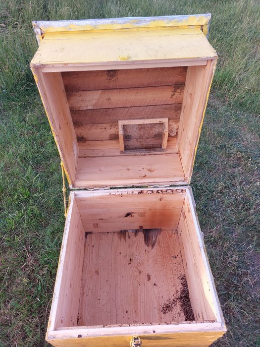 Stupi, rame, lazi, saltelute, colectoare polen