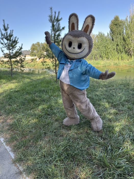 Мишка Тедди  прокат костюм