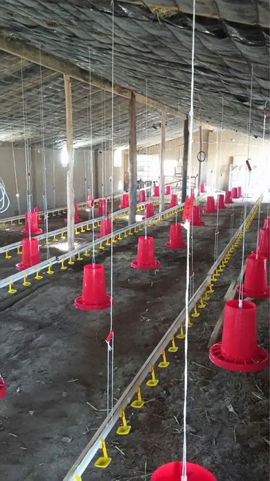 Автомат, ручной кармушки и поилки