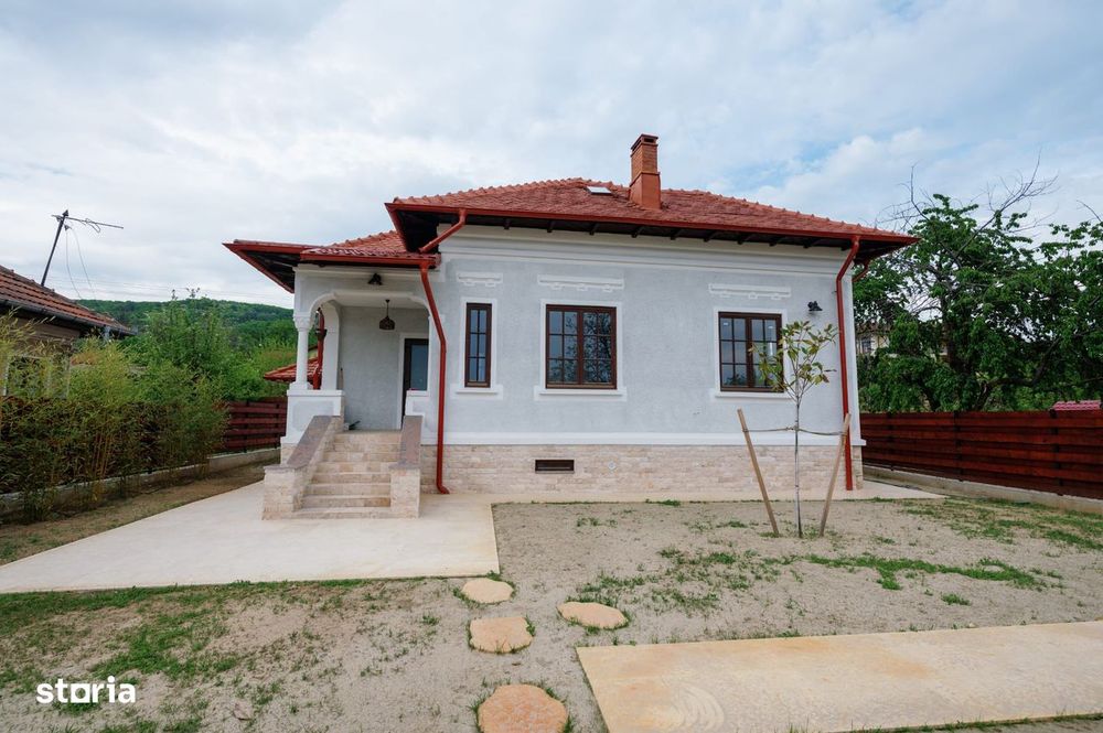 Proprietate unicat stil neoromânesc Ștefănești