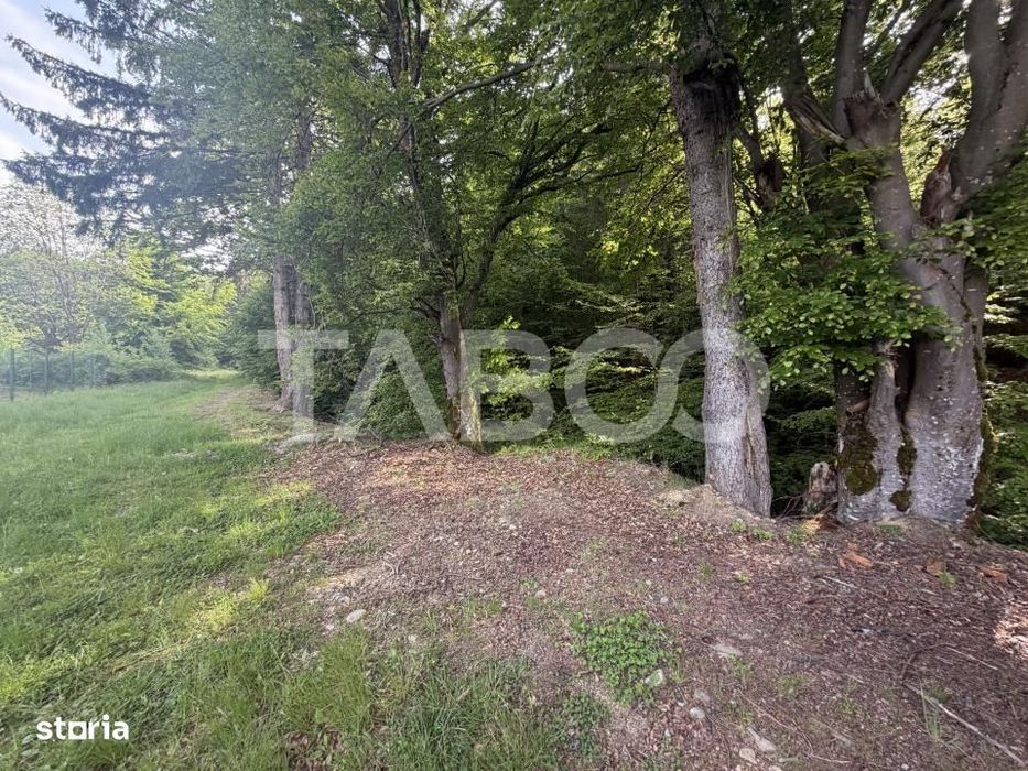 Teren intravilan 1000 mp front stradal 40 m langa Partia de Ski Dragus