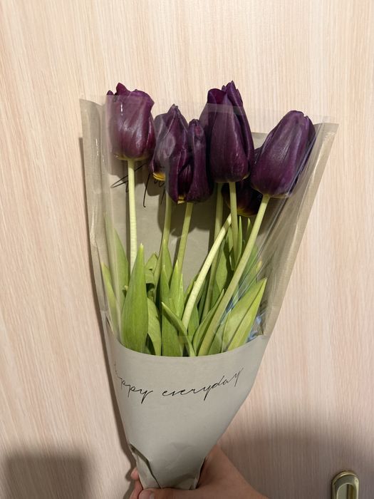 Тюльпаны беларусь свежие
