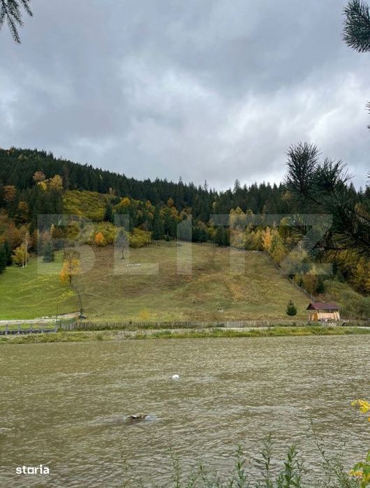 INVESTIȚIE! Teren extravilan, 30360 mp, loc. Brosteni, periferie SV
