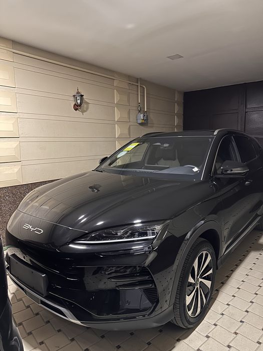 Byd champion ev 2023