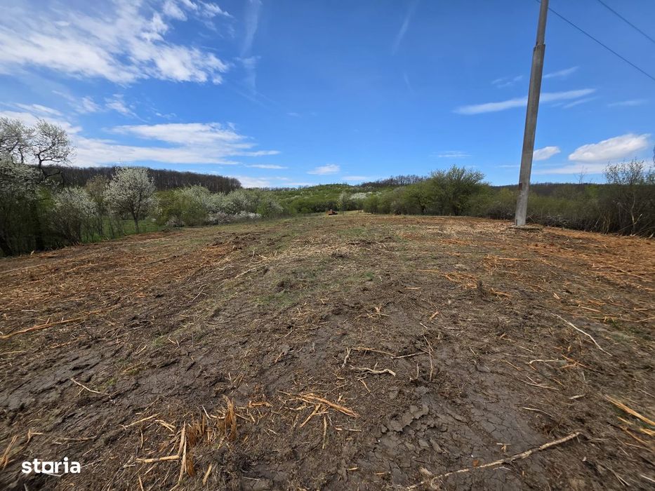 De vânzare teren intravilan – Bârsău, jud. Hunedoara