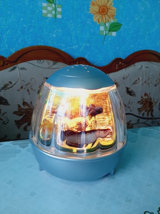 Ночник, картина для дома