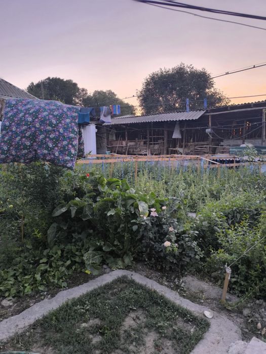 Участок в Аккурганском районе