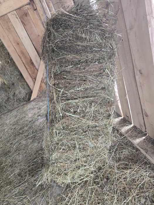 Baloti de fan,nepoluati