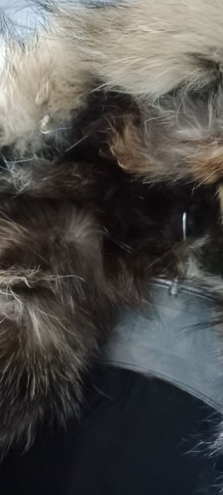 Зимный плащ парка