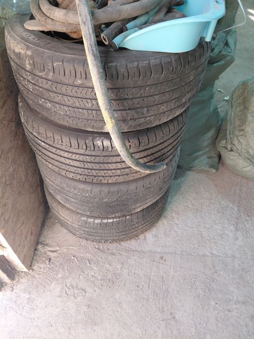 Камриға покрышка,қалада тұр