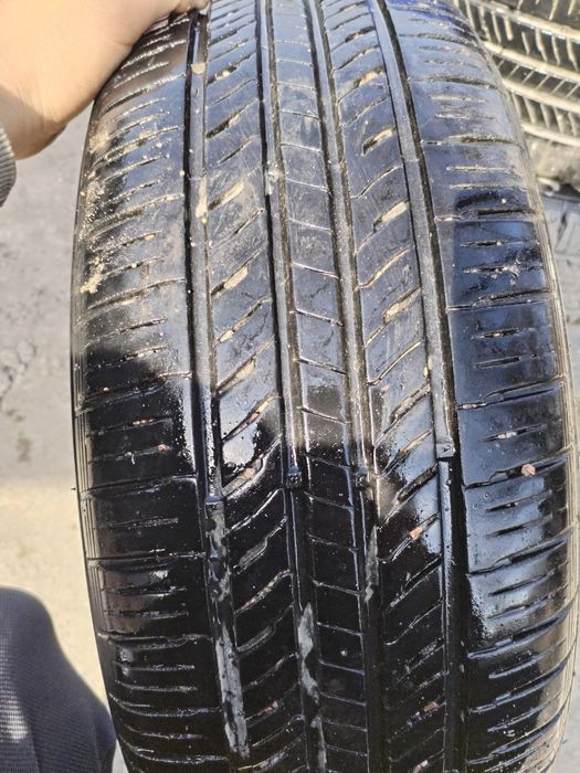 Ризина летный  хорошо состояние