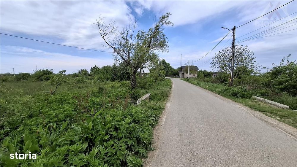 Teren Intravilan 3300 mp Paun Bucium,Utilitati!!!