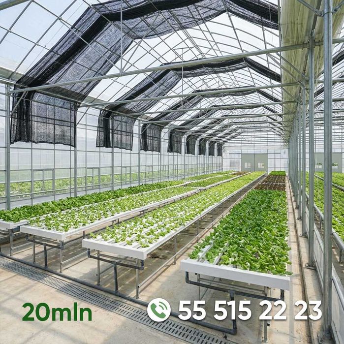 Koreya issiqxonalari va issiqxona uchun materiallar