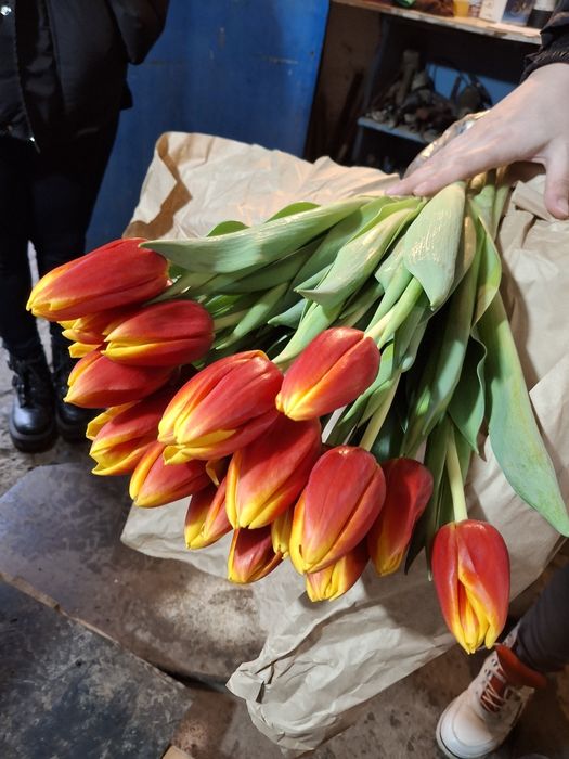 Тюльпаны в наличии Алматы.