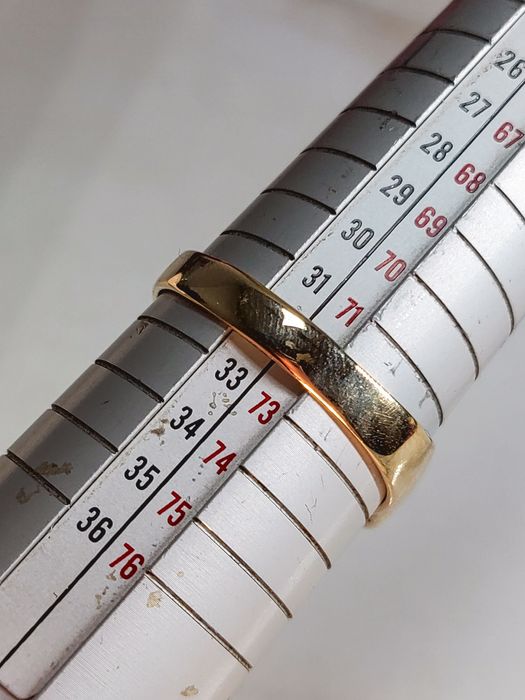 Ghiul bărbătesc din aur de 10K cu pietre semiprețioase albe