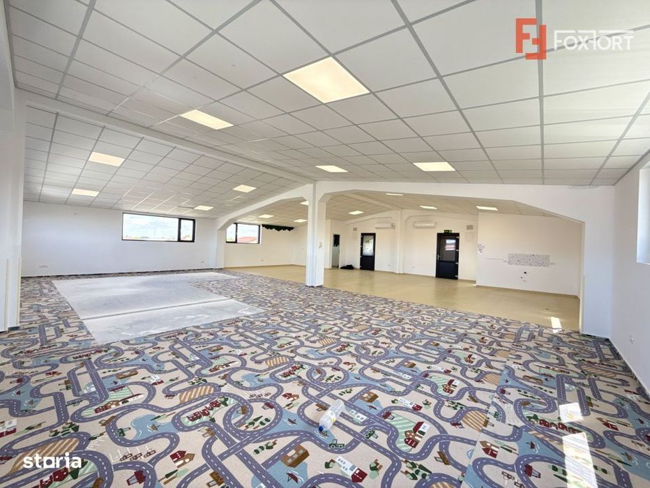 Spatiu pentru birouri/activitati – 190 mp in Sacalaz - Curte privata