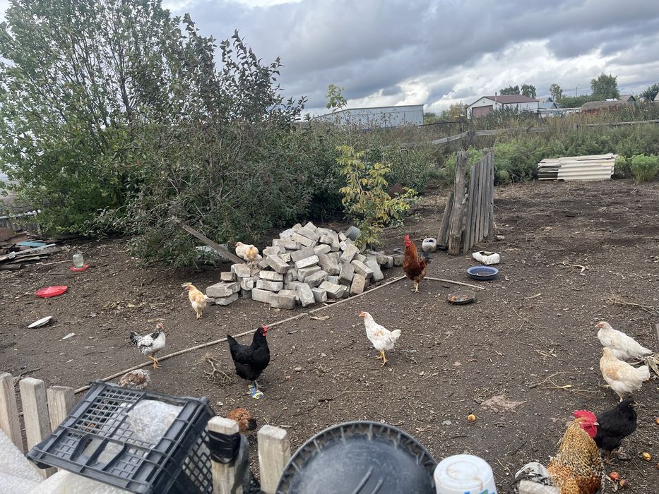 Продам дом , час от Астаны