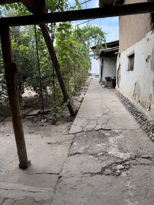 Зангиота, 8 соток ховли сотилади