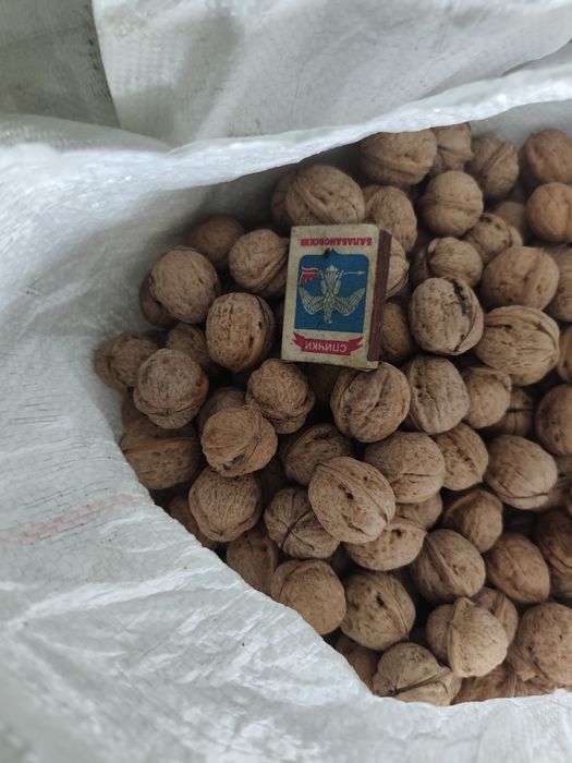 Продам грецкие орехи