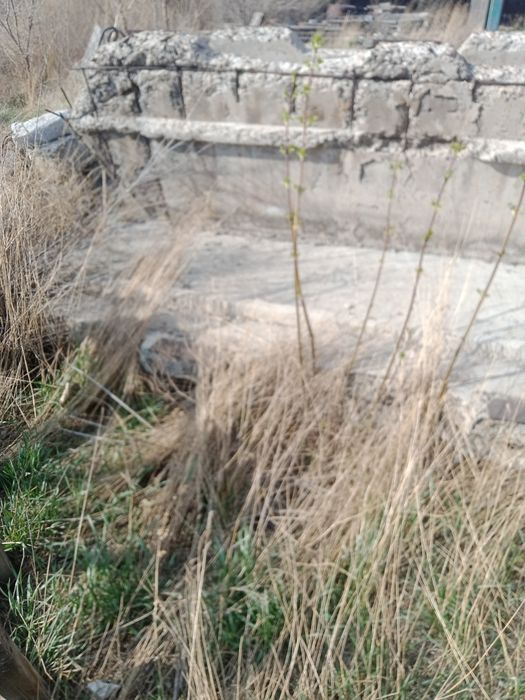 Продам плиты срочно