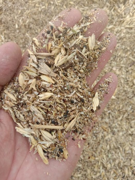 Отходы Полова Корм для крс