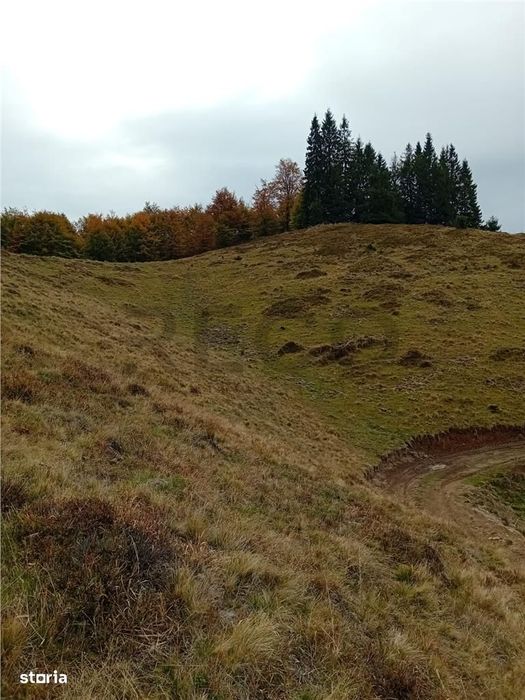 Teren extravilan la Cresuia, Stana de Vale