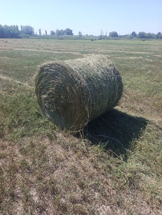 Продается люцерна в рулонах