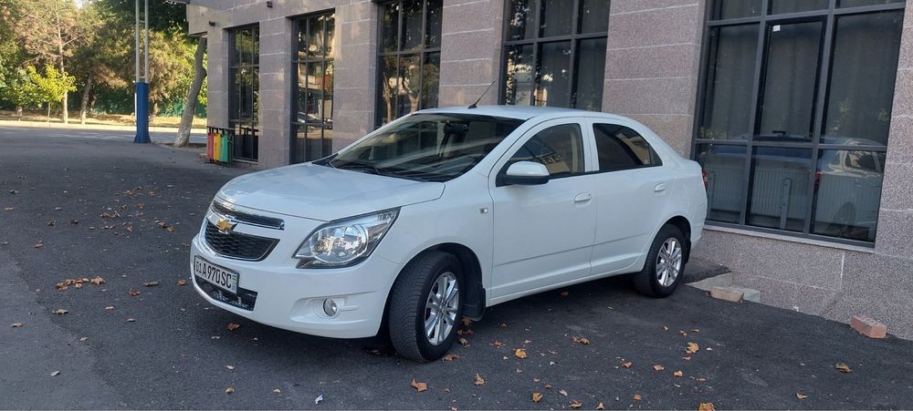 Cobalt 2024 oq kraskasi toza