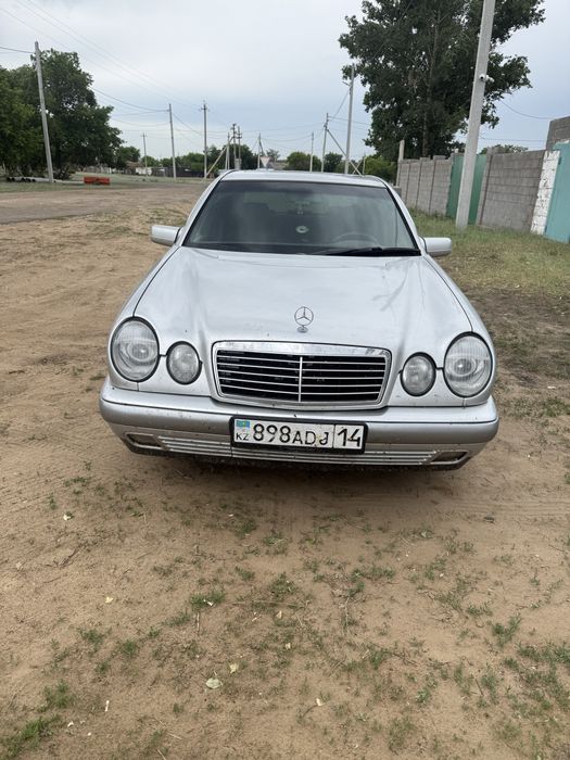 Продам живой W 210