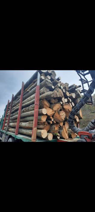 Lemn pentru foc(fag)