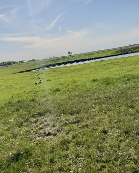 Продам животноводческое хозяйство