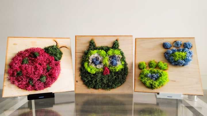 Картина от скандинавски мъх - бухал, калинка или лапички