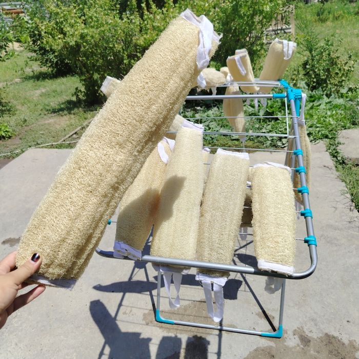 Мочалки из натуральной люфы