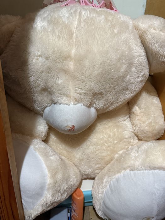 Медвежонок новый