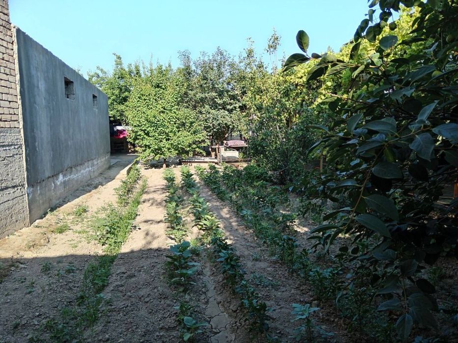 Участка сотилади срочна