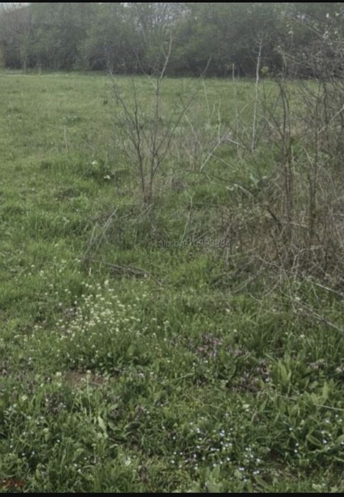Продавам се УПИ в село Маджерито