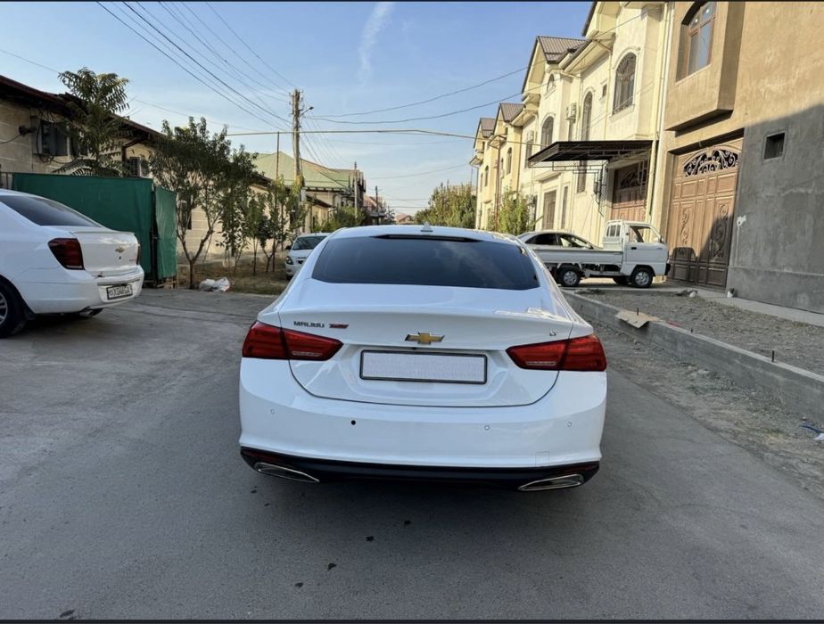 Arenda malibu 2 2018